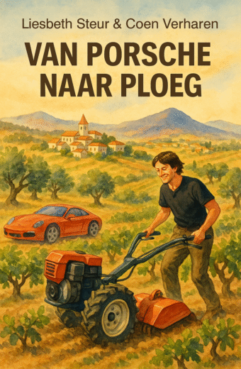 Van Porsche naar ploeg (ePub)